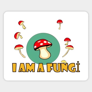 I am a mushroom Magnet